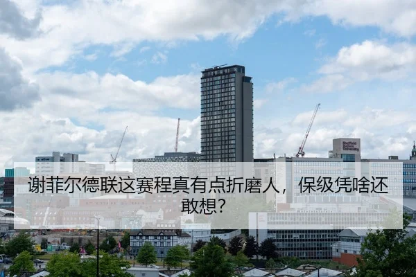 谢菲尔德联这赛程真有点折磨人，保级凭啥还敢想？