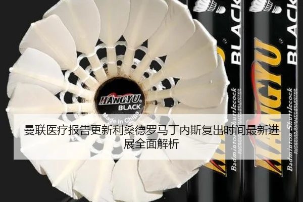 曼联医疗报告更新利桑德罗马丁内斯复出时间最新进展全面解析